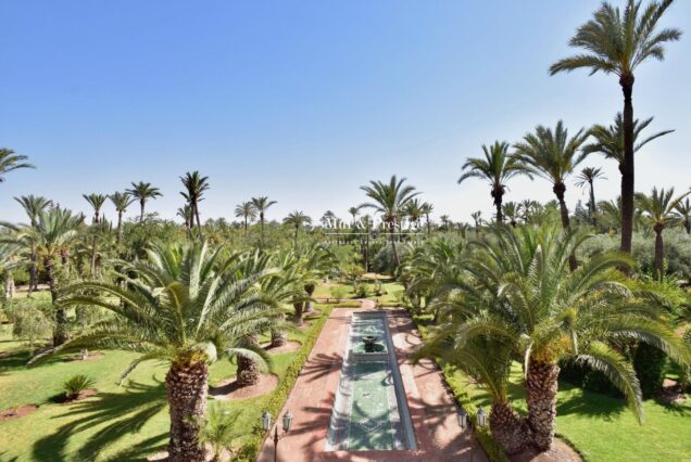 Marrakech Palmeraie: Camel Ride at Sunset