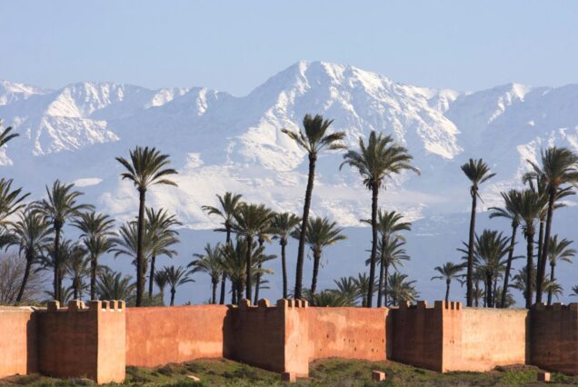 Quad Bike in Palm Groves with Tea Break