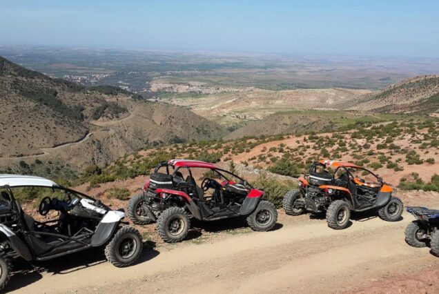 Buggy Drive in Palm Groves with Tea Break