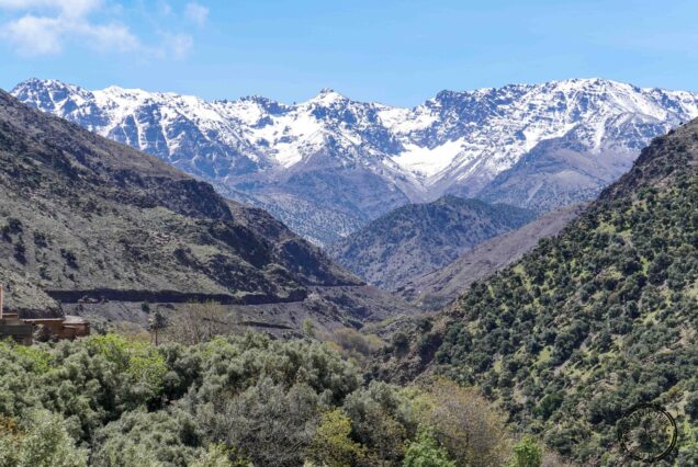 Imperial Cities, Atlas Mountains, and Desert Tour