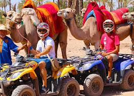 2 Hour Quad Bike & Camel Ride Adventure