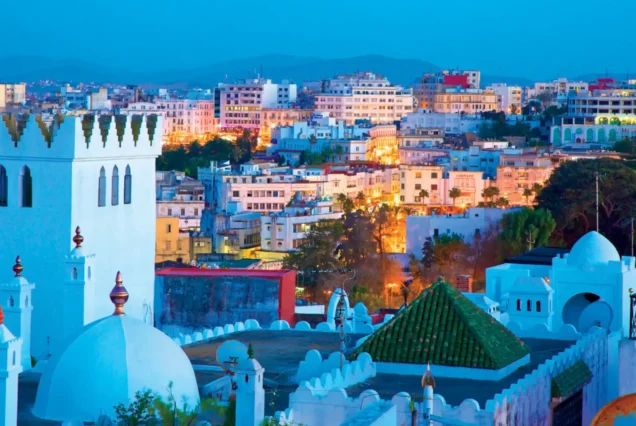 Marrakech Shore Excursion with Camel Ride